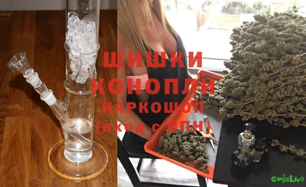 винт Алзамай