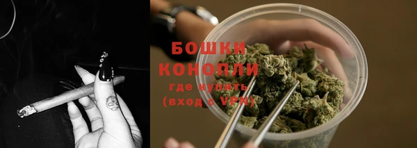 метадон Осташков