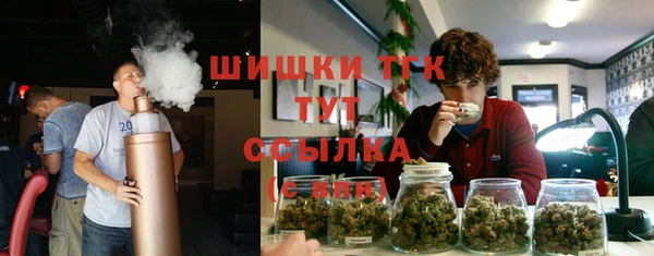 метадон Осташков