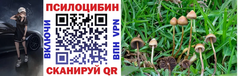 Псилоцибиновые грибы Psilocybe  Моршанск 